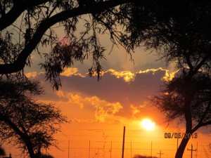 IMG_0754 